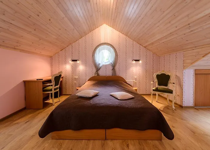 Arnika Pensjonat Druskieniki