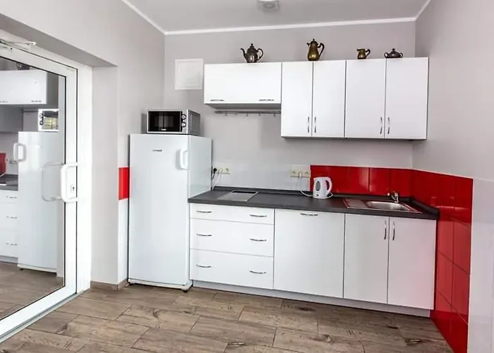 Arnika Pensjonat Druskieniki